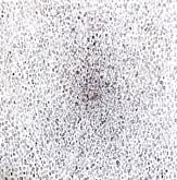 algorithm 2 by Elwira Titan at Annandale Galleries
