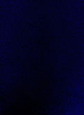 25.#010101_2013 by Elwira Titan at Annandale Galleries