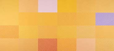 Orange by Lesley Dumbrell at Annandale Galleries