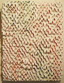 Gratuitous Grille by Chris Packer at Annandale Galleries
