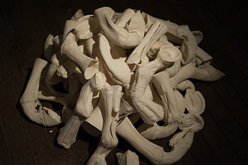 Midden of Compounding Fractures by Clare Nicholson at Annandale Galleries