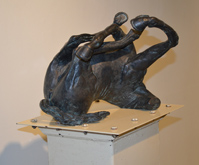 Dead Heat - Detail by Clare Nicholson at Annandale Galleries