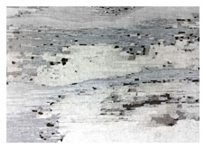 Whitewood 2 by Esther Neate at Annandale Galleries