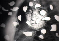 CINAMNESIA - still 2 by Nikki Walkerden at Annandale Galleries