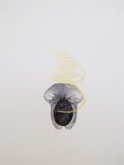 Chashm-e del 5 by Sara Sohrabian at Annandale Galleries