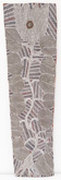 Garrimala by Malaluba Gumana at Annandale Galleries