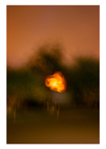 Wistfulness 4 by Michael Guthrie at Annandale Galleries