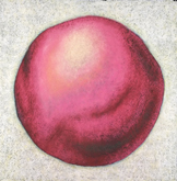 100 & 1000 #1 (pink) by Kim Spooner Bruce Searle at Annandale Galleries
