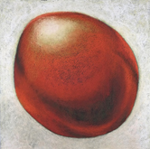 100 & 1000 #2 (red) by Kim Spooner Bruce Searle at Annandale Galleries