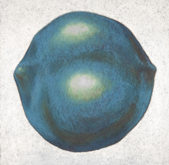 100 & 1000 #2 (blue) by Kim Spooner Bruce Searle at Annandale Galleries