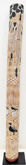 Djarwarrk by Gawirrin Gumana at Annandale Galleries