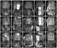 Post-Human Dwelling by Andrew Gorman Murray at Annandale Galleries