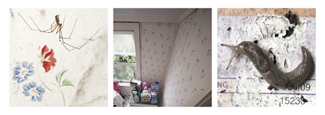  Interstitial Homemaking 2 by Andrew Gorman Murray at Annandale Galleries