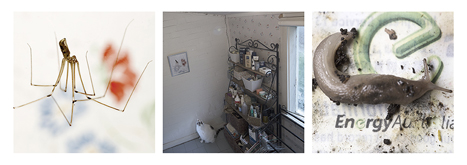 Interstitial Homemaking 3 by Andrew Gorman Murray at Annandale Galleries