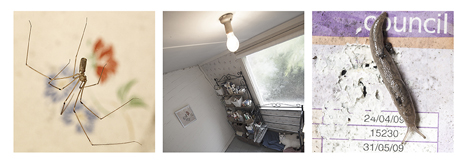  Interstitial Homemaking 4 by Andrew Gorman Murray at Annandale Galleries