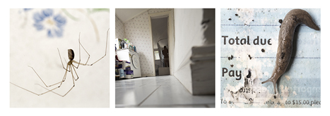 Interstitial Homemaking 5 by Andrew Gorman Murray at Annandale Galleries