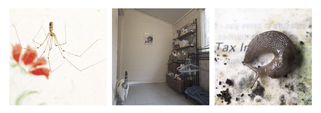 Interstitial Homemaking 7 by Andrew Gorman Murray at Annandale Galleries