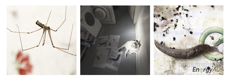 Interstitial Homemaking 8 by Andrew Gorman Murray at Annandale Galleries