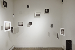 Nature's Pencil - Install View by Benjamin Stone-Herbert at Annandale Galleries