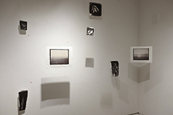 Nature's Pencil - Install View 2 by Benjamin Stone-Herbert at Annandale Galleries