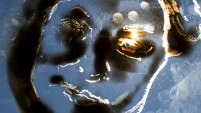 Gold by Michael McInerney at Annandale Galleries