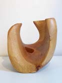 Kelp Form #2 by Andrew Blake at Annandale Galleries