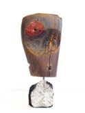 Red Knot by Andrew Blake at Annandale Galleries
