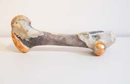 Bone by Andrew Blake at Annandale Galleries