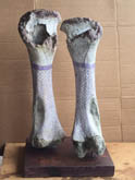 Bone - Hosed Up by Andrew Blake at Annandale Galleries