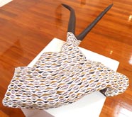 Gatapanga by Gunybi Ganambarr at Annandale Galleries