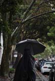 Rain by Abdul Moeez at Annandale Galleries