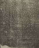 After Nature 5 by Brett McMahon at Annandale Galleries