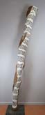 Buyku by Gunybi Ganambarr at Annandale Galleries