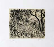 Garden at Houghton Drive (Foxglove) by William Kentridge at Annandale Galleries