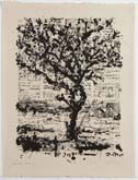 Stone Tree II by William Kentridge at Annandale Galleries