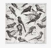 Bird Catching by William Kentridge at Annandale Galleries