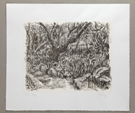 Garden below the Studio by William Kentridge at Annandale Galleries