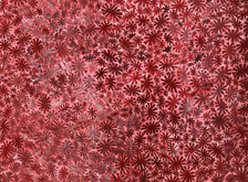Rosa Rot Koralle by Tanya Stubbles at Annandale Galleries
