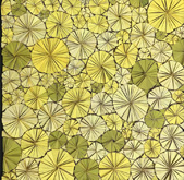 Sonnenshein Koralle by Tanya Stubbles at Annandale Galleries