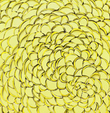 Zitrongelb Koralle by Tanya Stubbles at Annandale Galleries