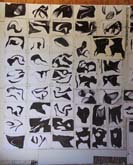 Installation of Drawings in the Studio by Geoffrey de Groen at Annandale Galleries